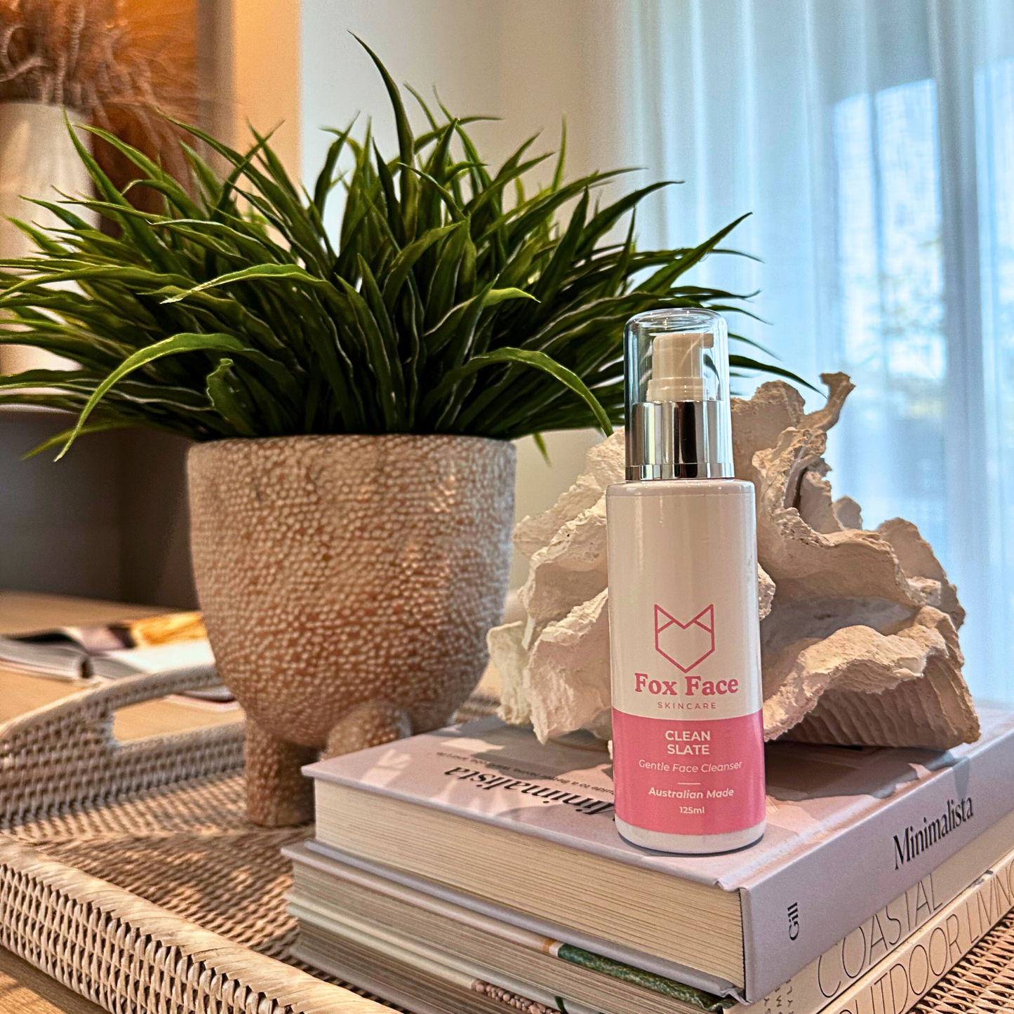 Clean Slate Gentle Face Cleanser